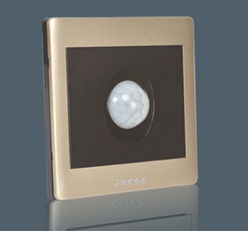 Human Inductive Sw…