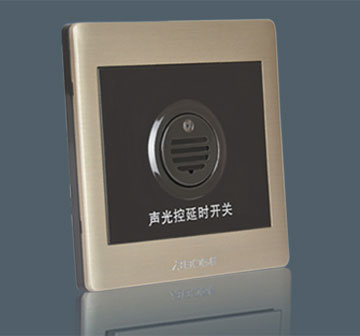 Voice & Light Cont…