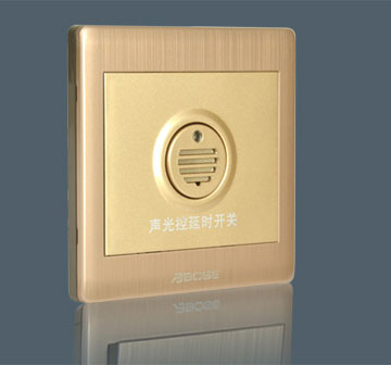 Voice & Light Cont…