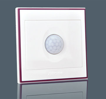 Human Inductive Sw…