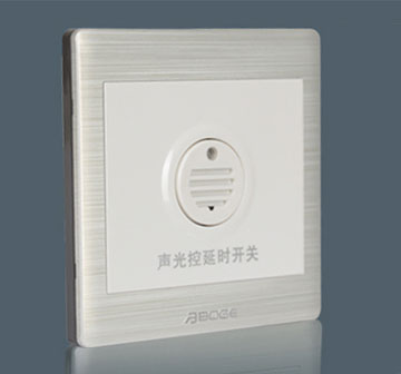 Voice & Light Cont…