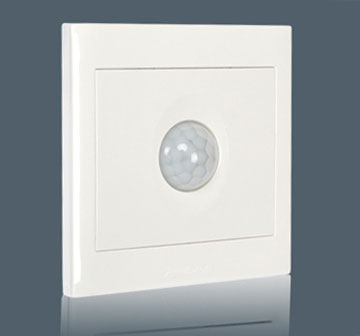 Human Inductive Sw…