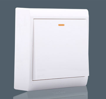 1 Gang 1 Way Plate…