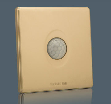 Human Inductive Sw…