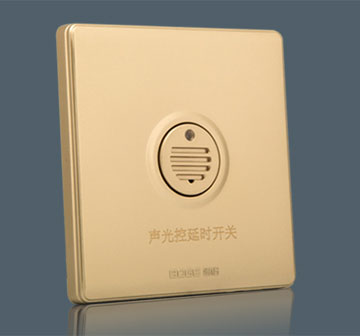 Voice & Light Cont…